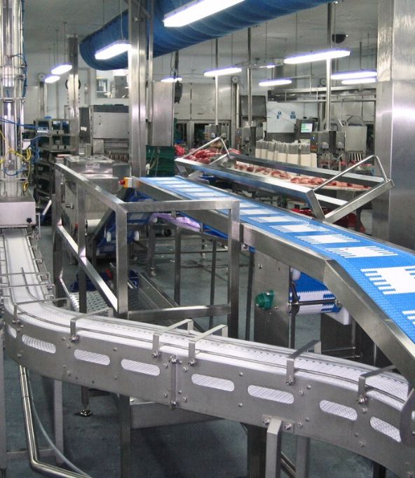 Single Line Conveyor, Single Line Conveyor system, Single Line Conveyor manufacturers, Single Line Conveyor suppliers, Single Line Floor Conveyor