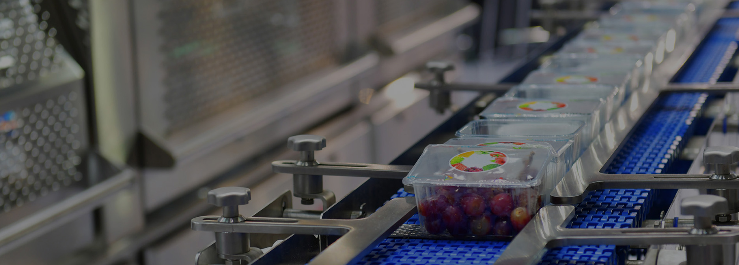 Flexible Conveyors,Flexible Conveyors manufacturers,Flexible Conveyors suppliers,Flexible Conveyors systems,bag conveyors,Chain Guide Strips,
Chain Guide Strips suppliers,automatic conveyor system,conveyor automation,automated conveyor systems,